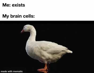 Guess this post is a bit [QUACK]ers