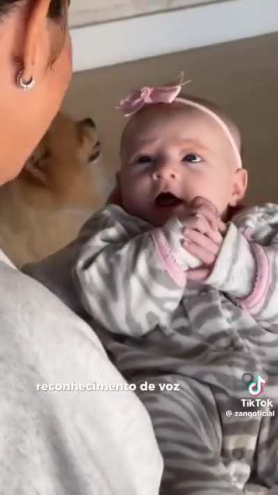 .........