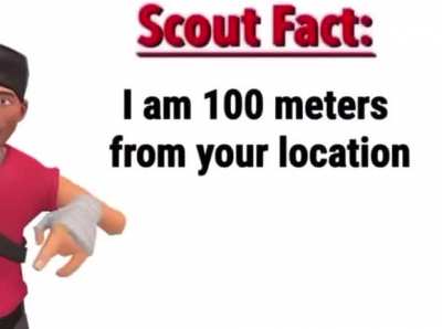 SCOUT FACT: