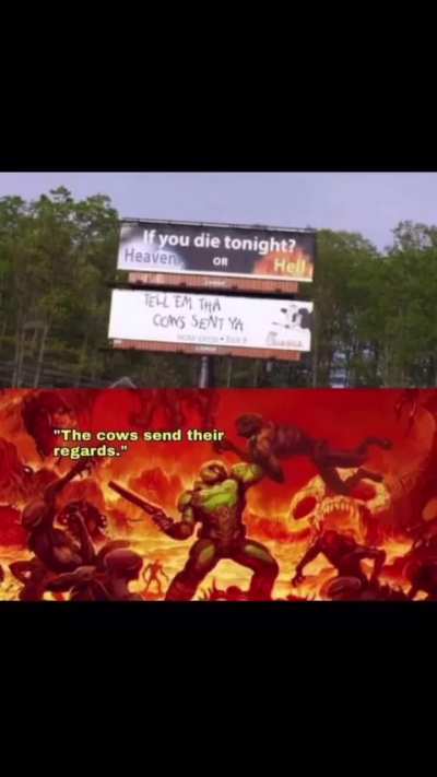 The cows sent there regards