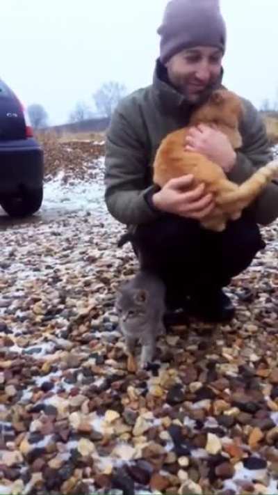 Cat.