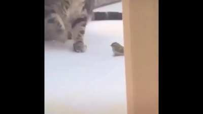 Grunt rolls over a headcrab