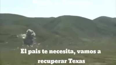 viva México xd