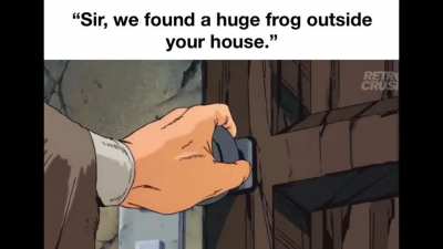 🐸🐸🐸