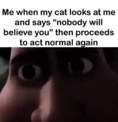 blursed_cat