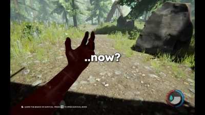 Kid plays The Forest for the first time...
