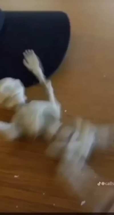 The downfall of a skeleton