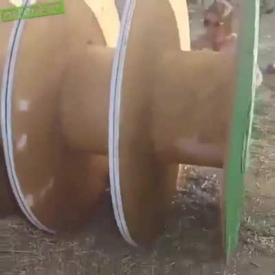 Viewer discretion is advised