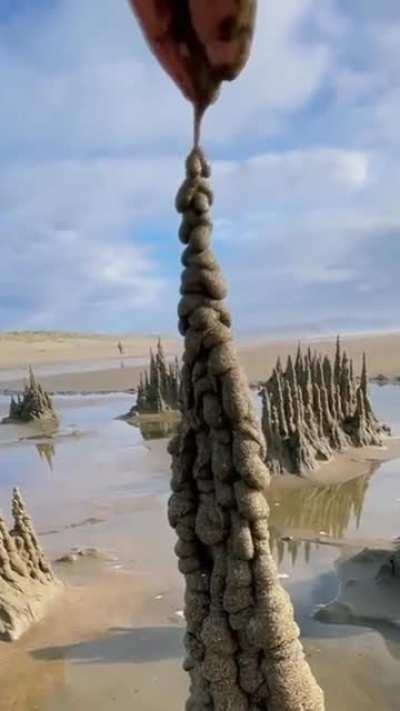 ah yes the tower