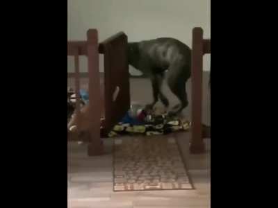 Betrayal