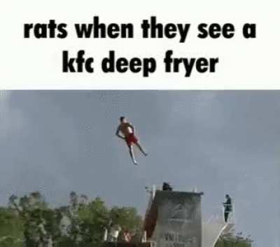 Rule