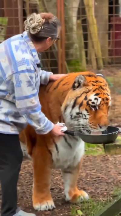 Giving her cat some milk 🍼