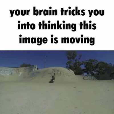 your brain tricks you into thinking this image is moving