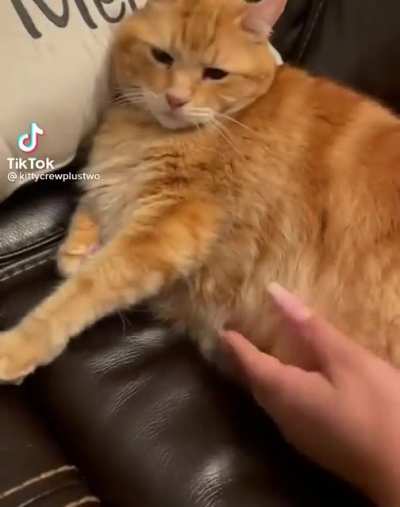 rip floofy boi