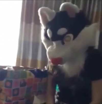 I'm a dog...