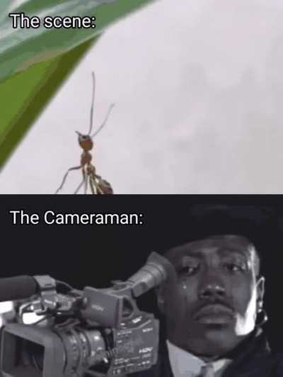 Ey, but what about me