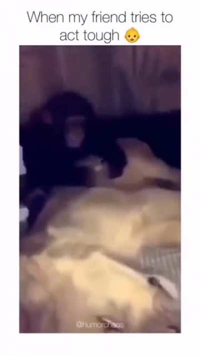 He deserve This Slap