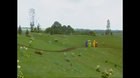 Teletubbies, Let The Bodies Hit The Floor