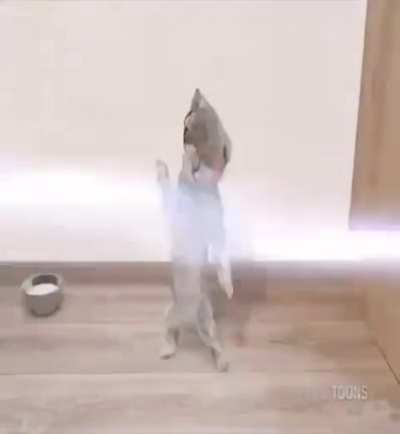 what song is this