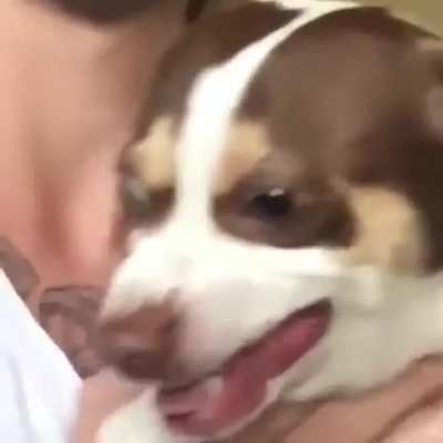 Mr. Bubz