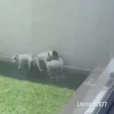 Своя атмос<wbr>фера