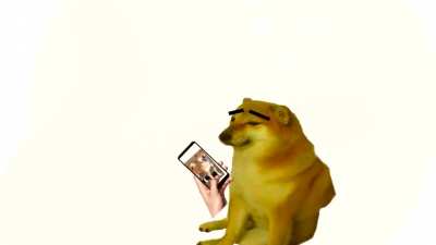 to all of you who are horny GO TO HORNY JAIL REEEEEEEEE