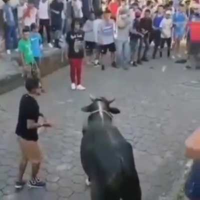 Never Touch the horn's of Bull