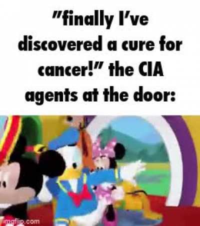 knock knock