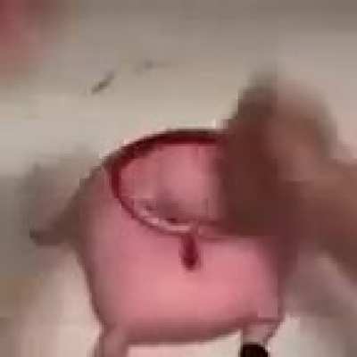 Monke 