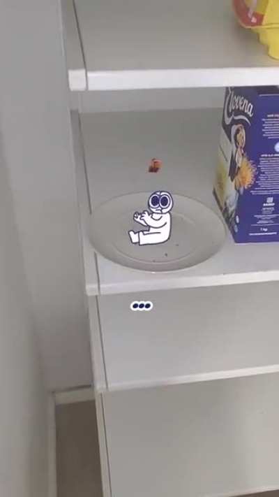 Where’s my cookie?