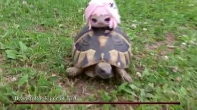 Bossfight time