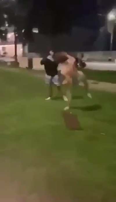 Fight