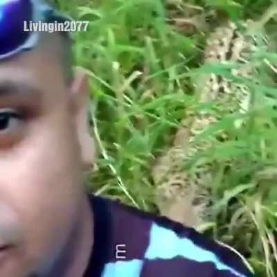 hello there!
