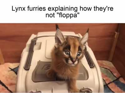 fandom_irl