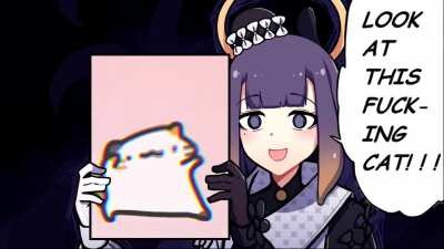 look at this cat