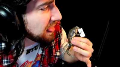 froglicker.mp4