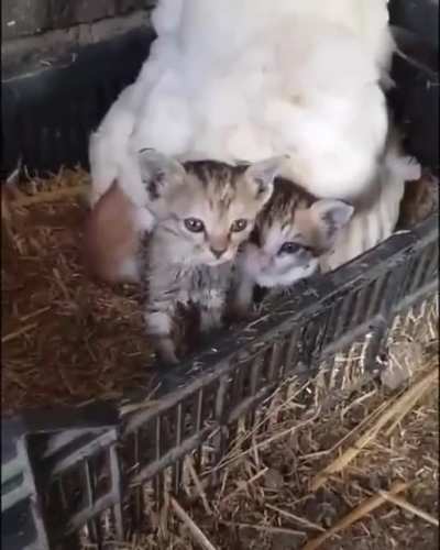 Move along, nothing to see here