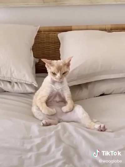 Meditation first thing in the morning