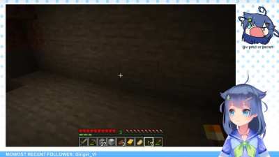 minecraft panik