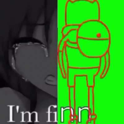 imnotfinn