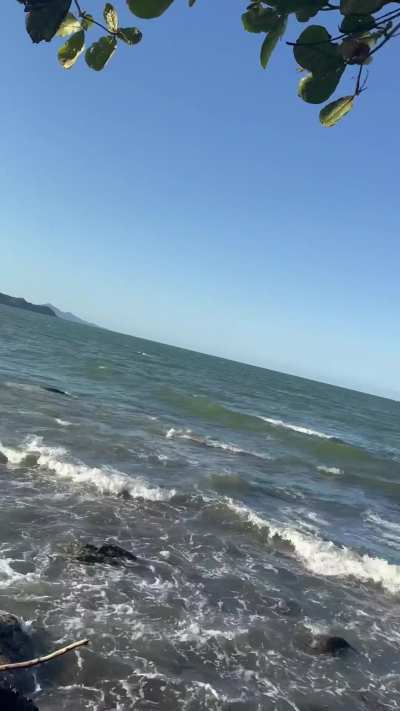 He said he just wanted to go to the beach… and all I wanted was to such his cock