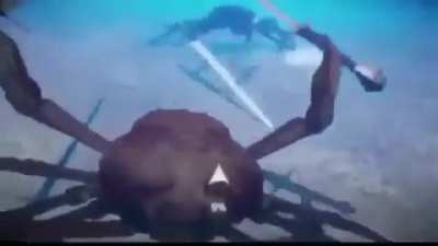 Crab