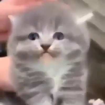 O.o