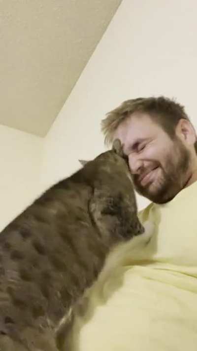 If everyone had a cat like this, the world would be a better place. I don’t deserve him