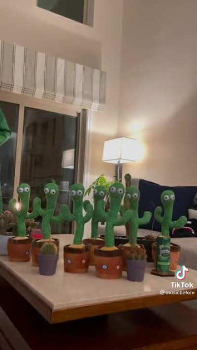 I need my own Cactus Choir