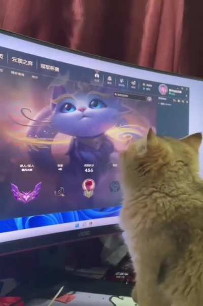 Yall if yall were a cat