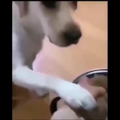 A willing sacrifice