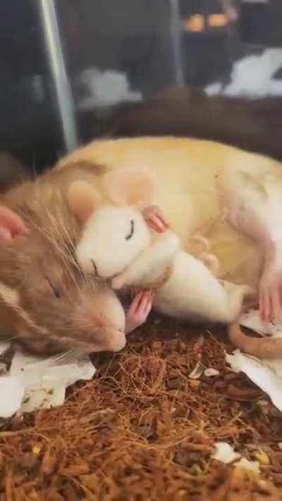 Würde ich gerne auch jetzt machen, aber es ist Montag...