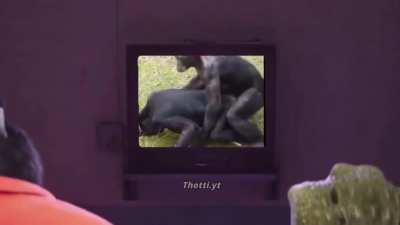Proud monke dad