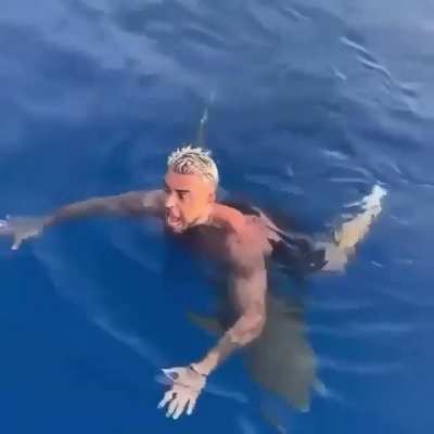 Swimming with the sharks